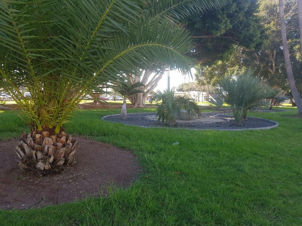 Bungalows Bahamas Beside The Park And 300M To The Beach Puerto Rico  Luaran gambar